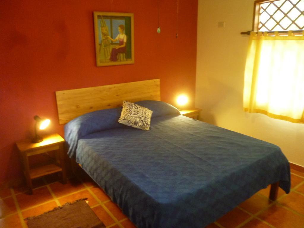 Los Delfines Lodge Puerto Viejo de Talamanca Værelse billede