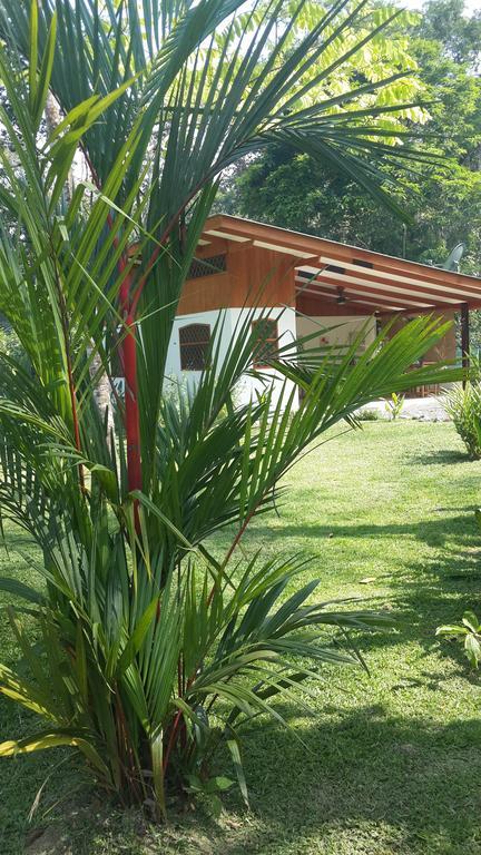 Los Delfines Lodge Puerto Viejo de Talamanca Værelse billede
