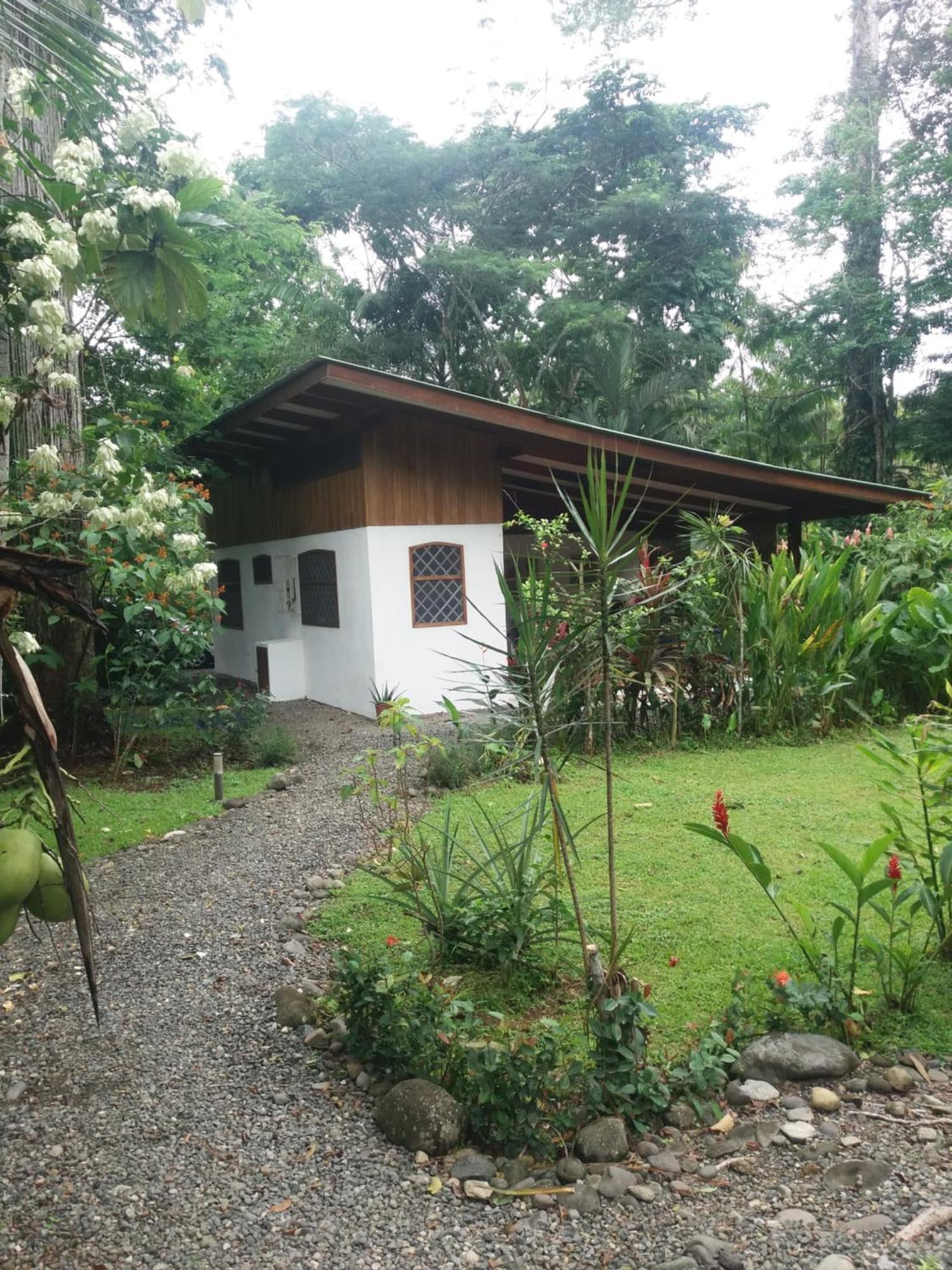 Los Delfines Lodge Puerto Viejo de Talamanca Eksteriør billede